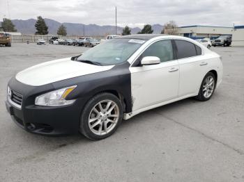  Salvage Nissan Maxima