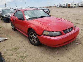  Salvage Ford Mustang