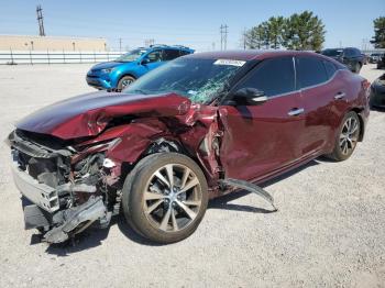  Salvage Nissan Maxima