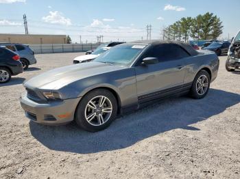  Salvage Ford Mustang