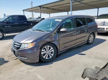  Salvage Honda Odyssey