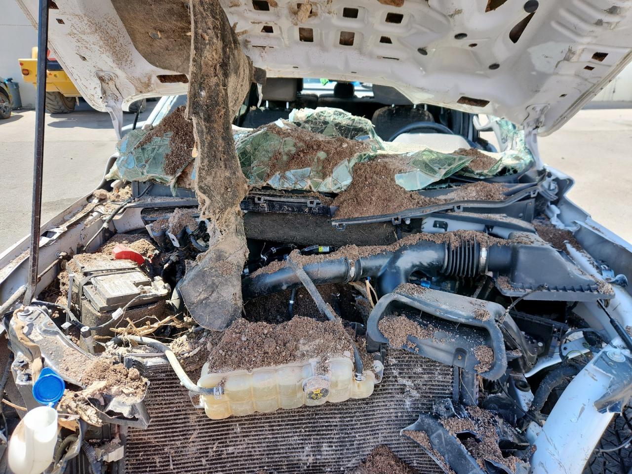 Ford F-150 Supercrew Image 9