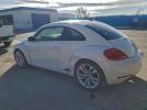 Volkswagen Beetle Image 3