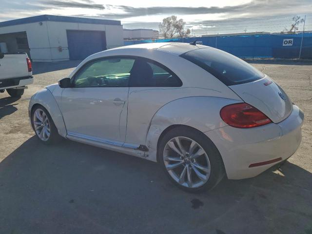 Volkswagen Beetle Image 3