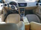 Volkswagen Beetle Image 11