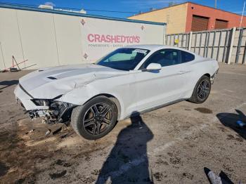  Salvage Ford Mustang