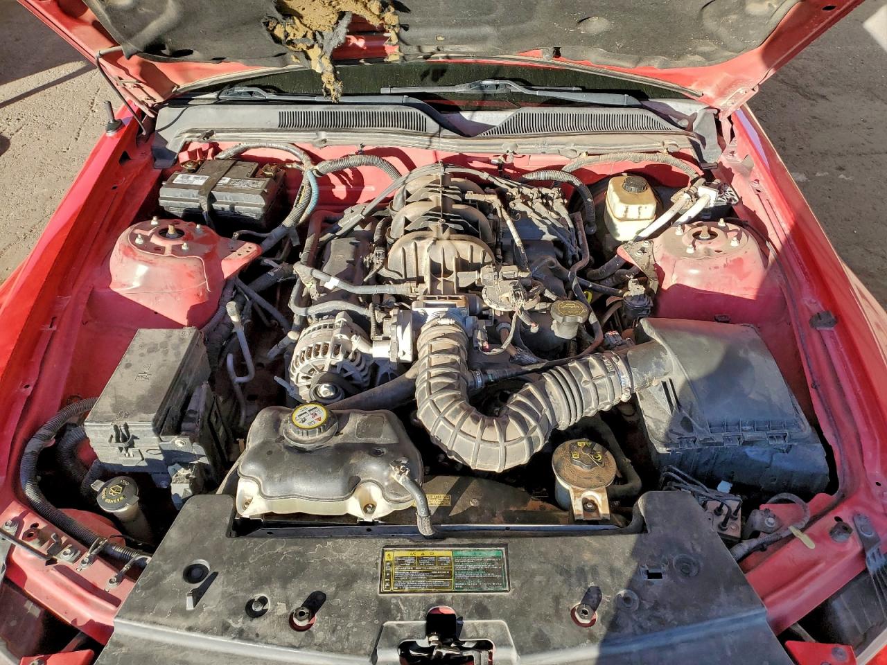 Ford Mustang Image 10